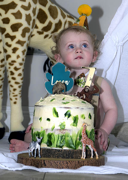Logan's 1st birthday cake bash image 04