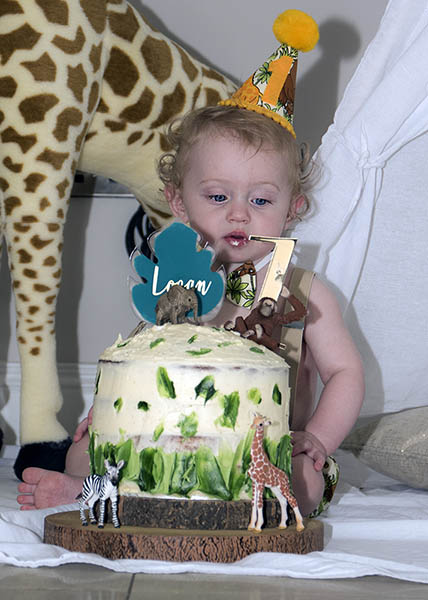 Logan's 1st birthday cake bash image 03