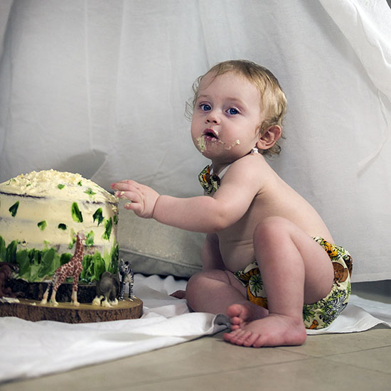 Logan's 1st birthday cake bash image 06
